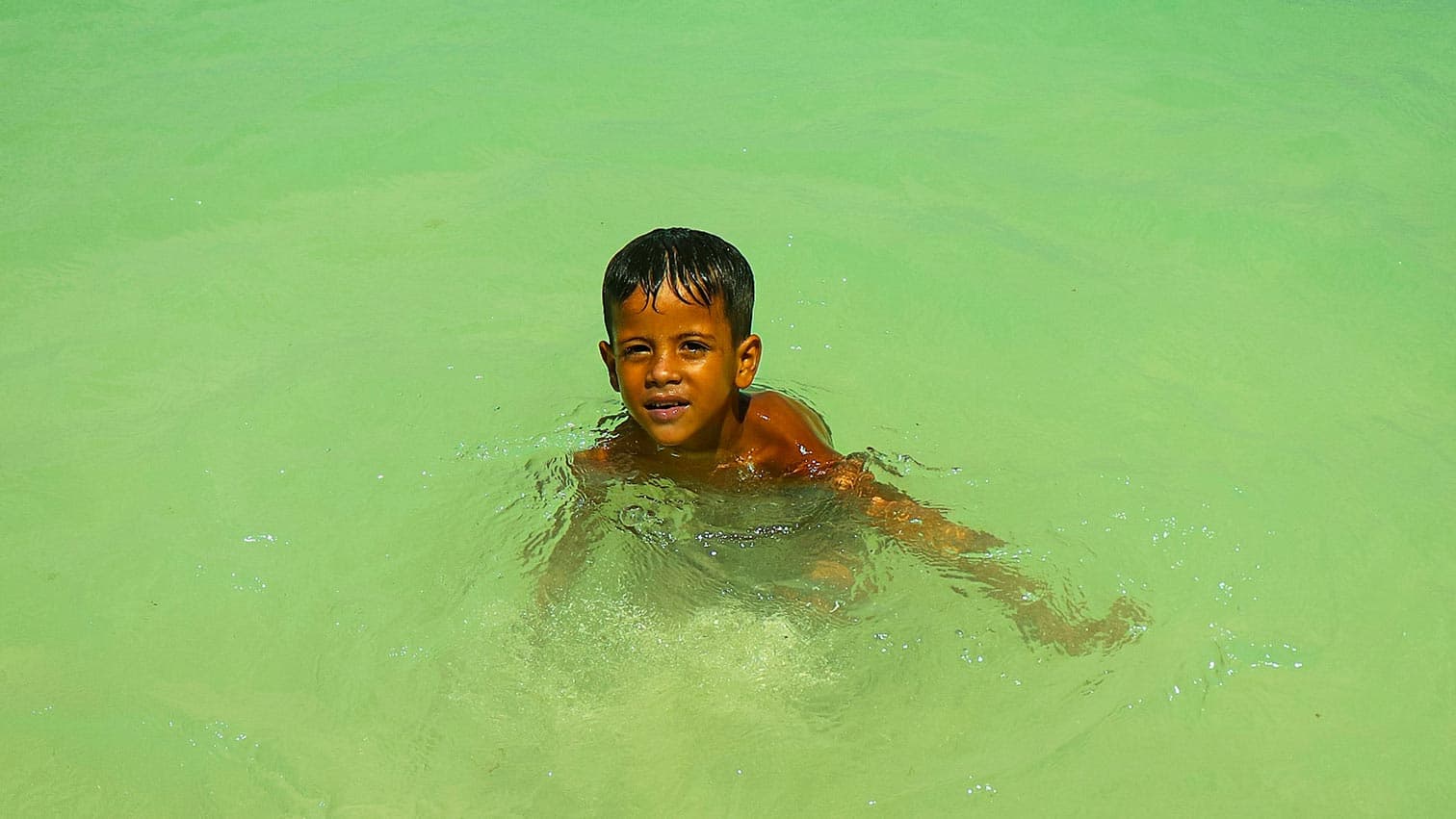 ¿Qué son las cloraminas y bromaminas?